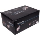 CAMP ICE MASTER DISPLAY - 16 pcs