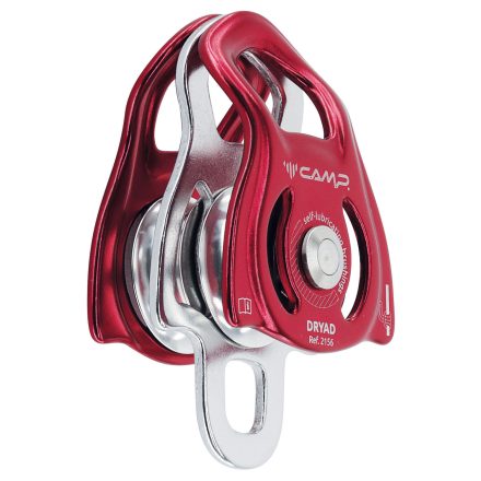 CAMP DRYAD